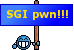 SGI pwn!!!